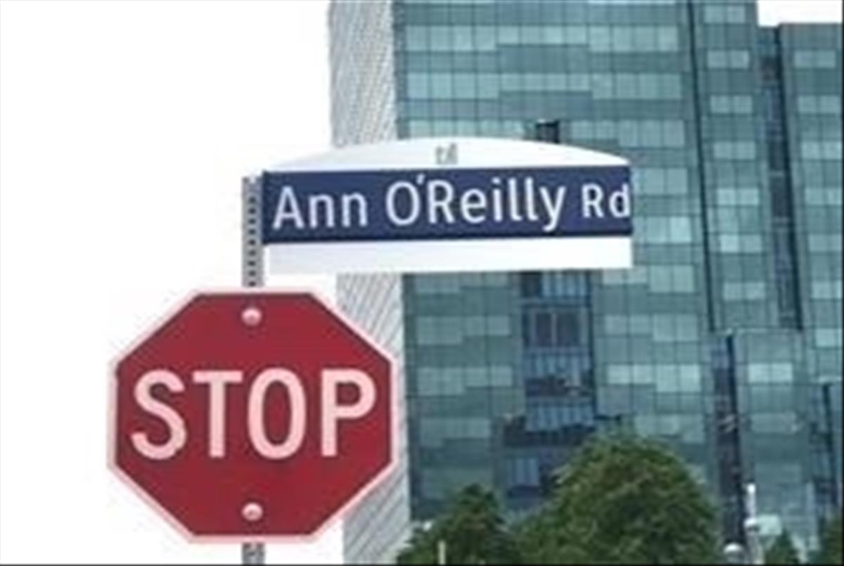 55 Ann O'reilly Rd E